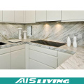 Kitchen Cabinet Furniture Designs From Foshan Supplier (AIS-K171)